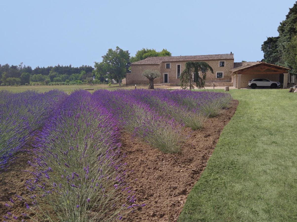 Bed and Breakfast Mas Des Fugueyrolles Cavaillon Exterior foto